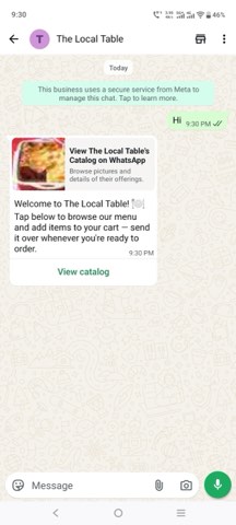 Customer sends "Hi", bot replies with the native catalog card